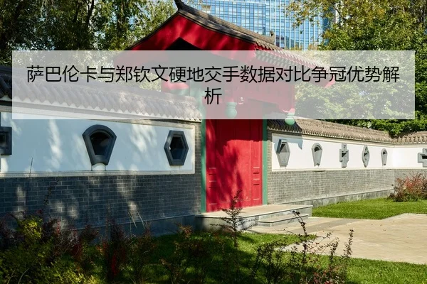 萨巴伦卡与郑钦文硬地交手数据对比争冠优势解析 - WukongSports